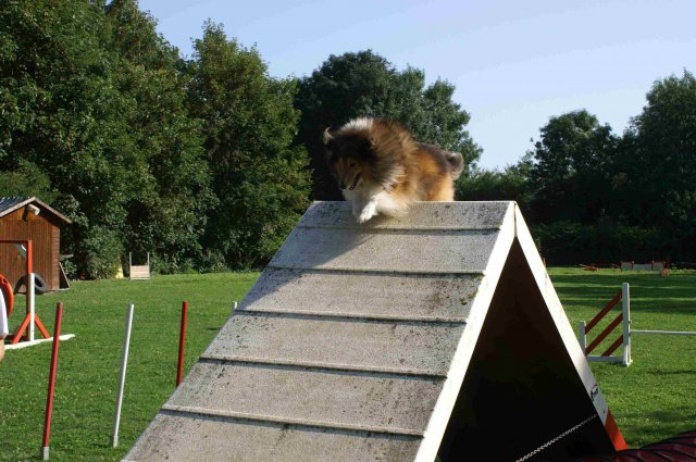 agility 2011-08